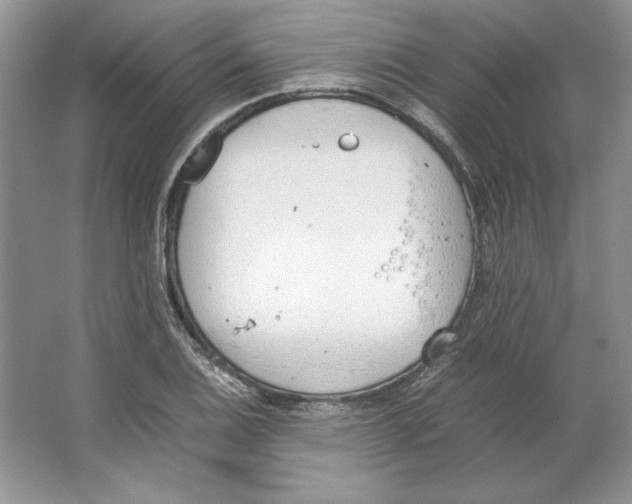 X0000064731124200603031634