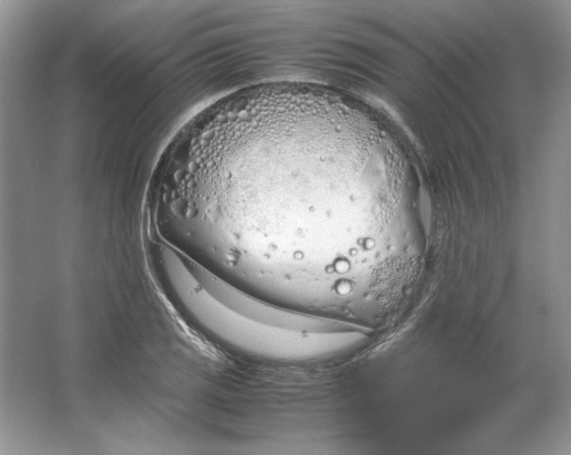 X0000064731125200603031634