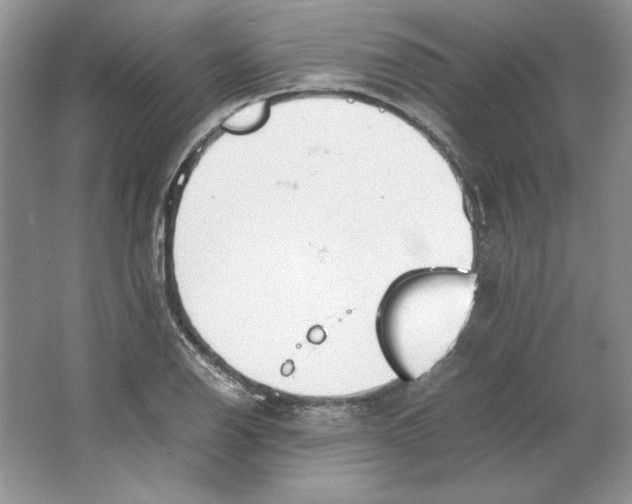 X0000064731126200603031635