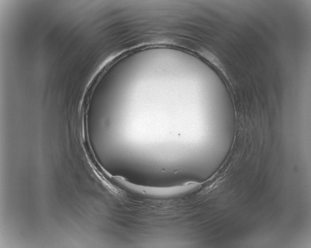 X0000064731127200603031635