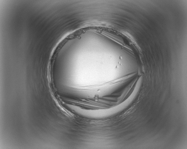 X0000064731128200603031635