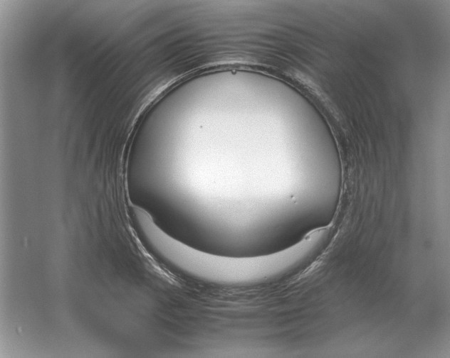 X0000064731129200603031635