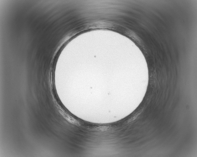 X0000064731130200603031635