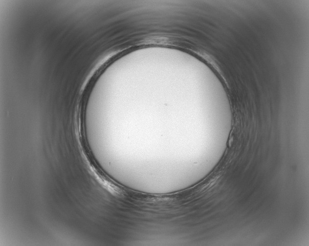 X0000064731131200603031635