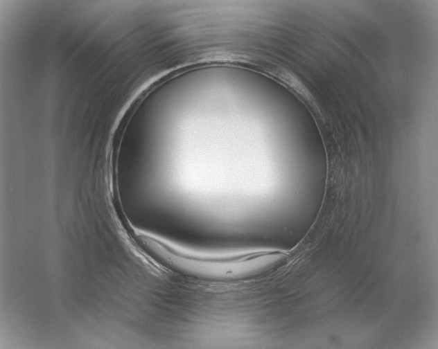 X0000064731132200603031635