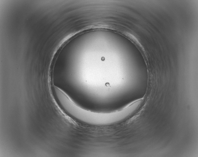 X0000064731133200603031635