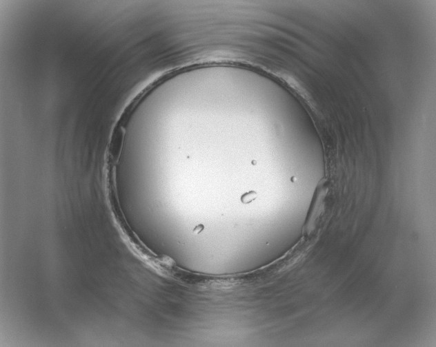 X0000064731134200603031635