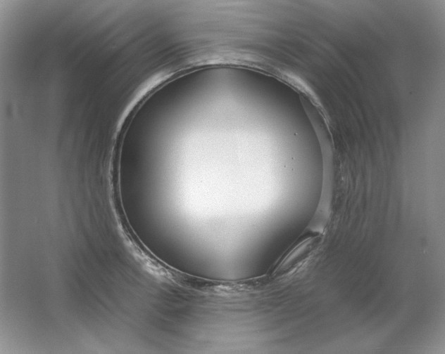 X0000064731138200603031635