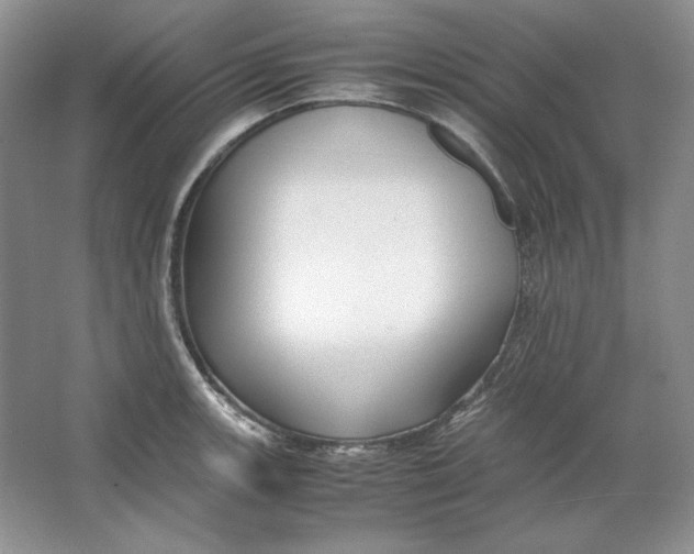 X0000064731139200603031635