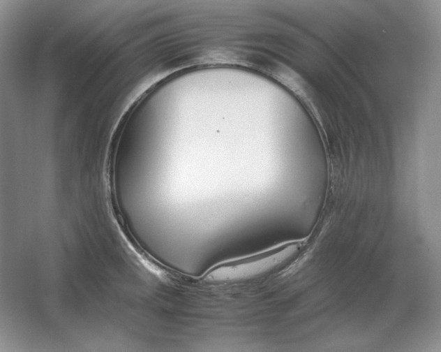 X0000064731141200603031635