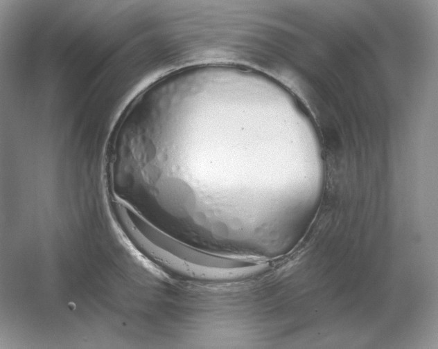 X0000064731142200603031635