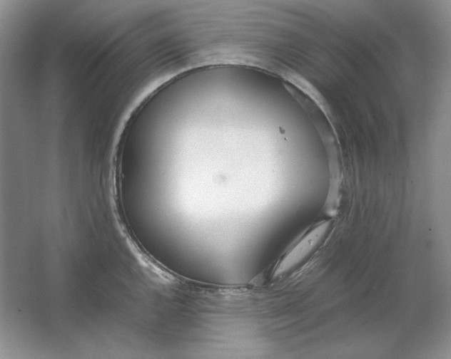 X0000064731144200603031635