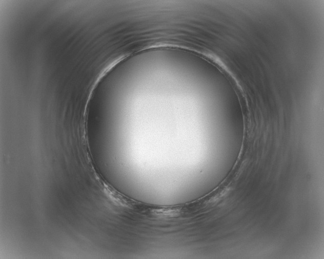 X0000064731145200603031635