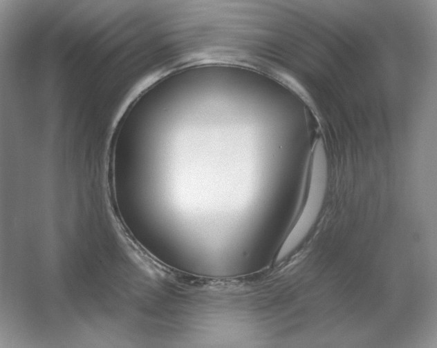 X0000064731146200603031635