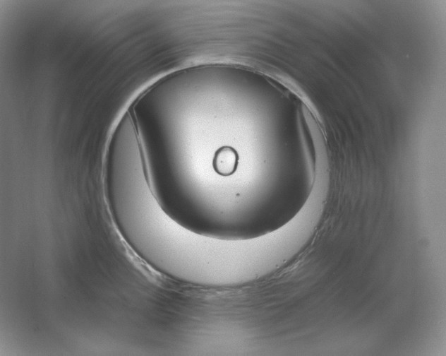 X0000064731148200603031635