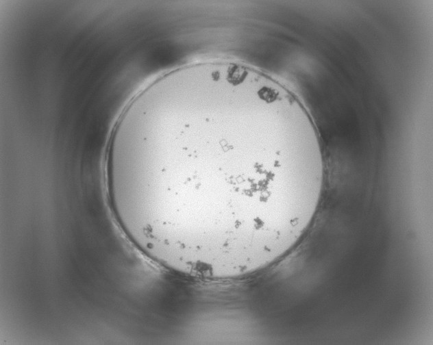 X0000064731150200603031635