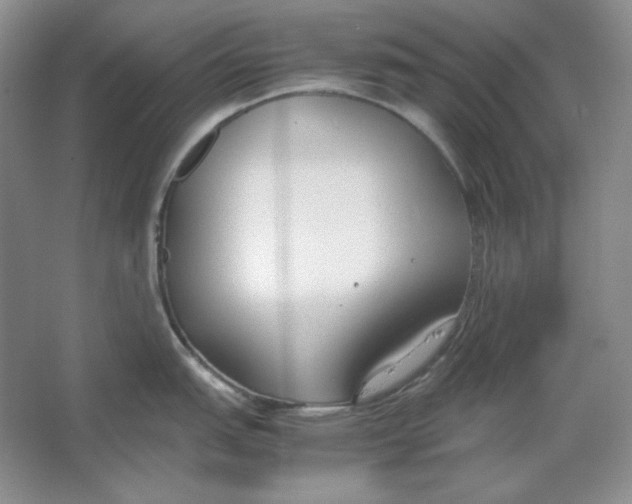 X0000064731151200603031635