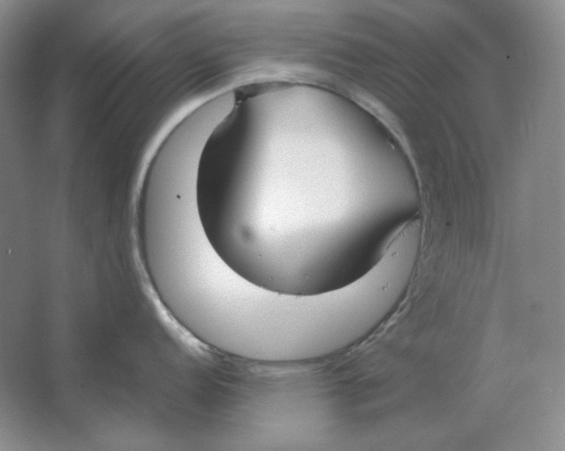 X0000064731152200603031635