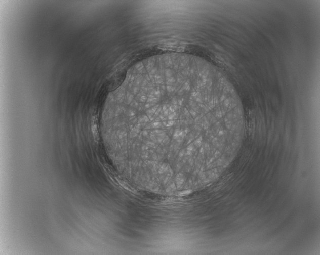 X0000064731154200603031634