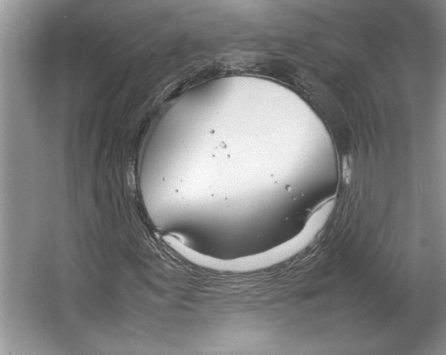 X0000064731155200603031634