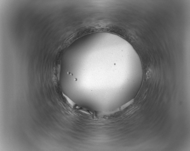 X0000064731156200603031634