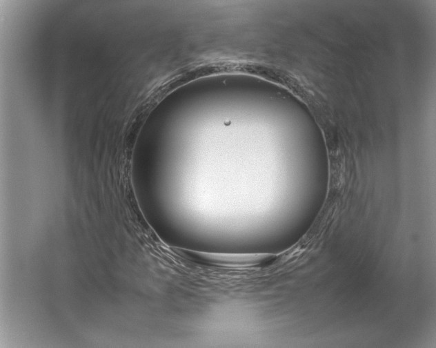 X0000064731157200603031634