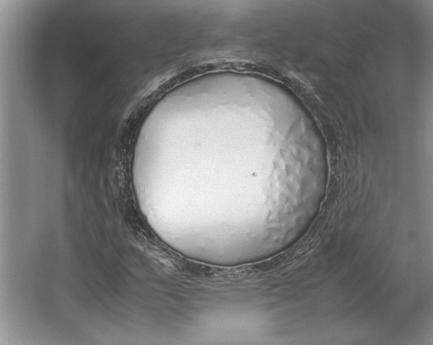 X0000064731159200603031634