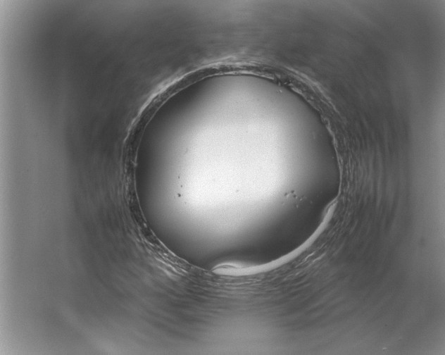 X0000064731160200603031634