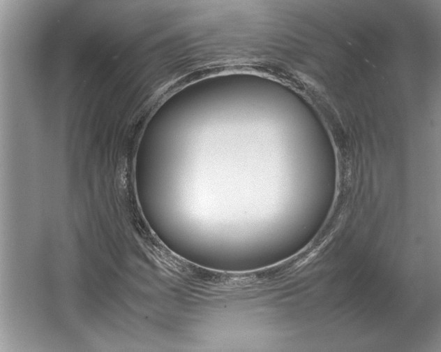 X0000064731161200603031634