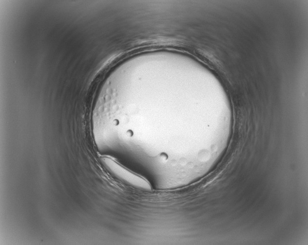 X0000064731163200603031634