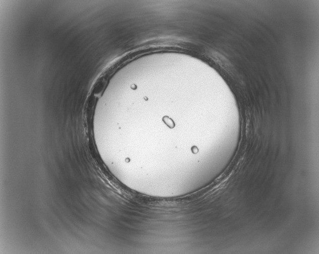 X0000064731164200603031634