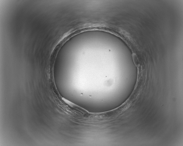 X0000064731165200603031634