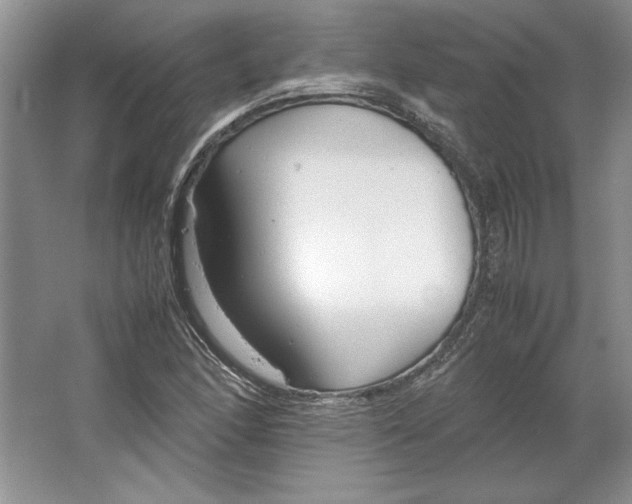 X0000064731166200603031634