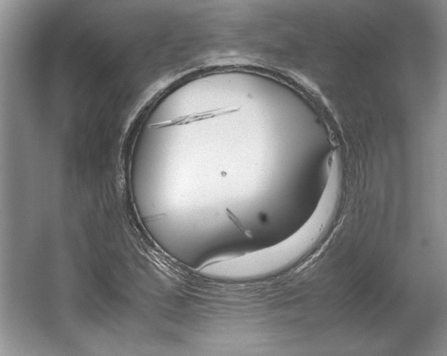 X0000064731167200603031634