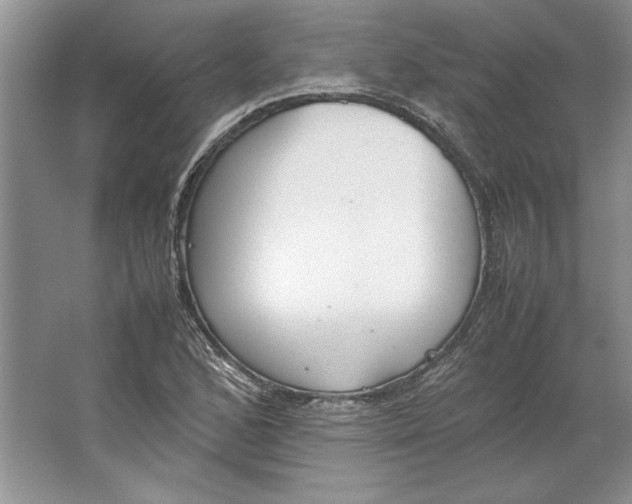 X0000064731168200603031634