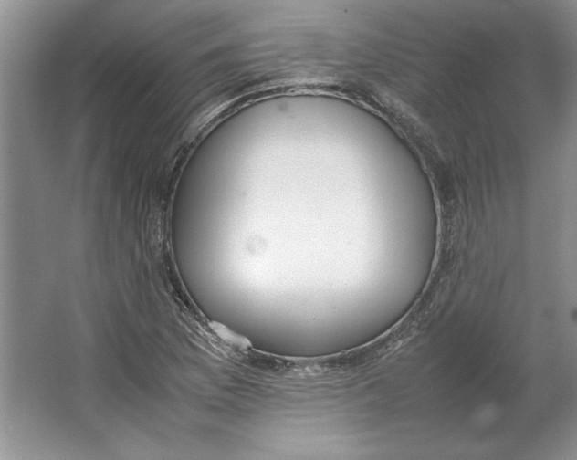 X0000064731169200603031634