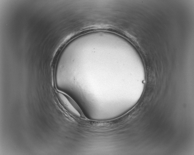 X0000064731171200603031634