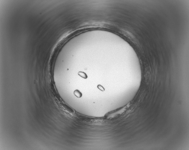 X0000064731172200603031634