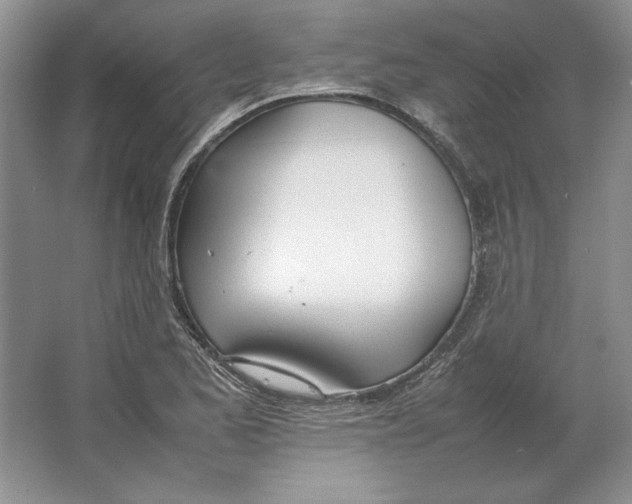 X0000064731173200603031634