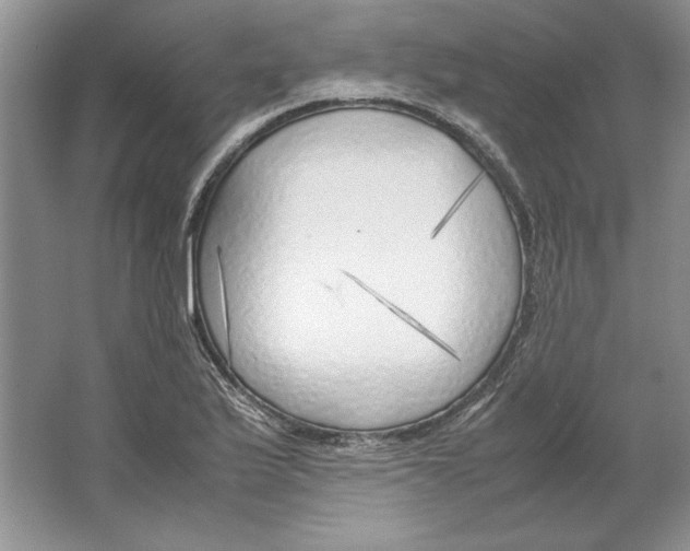 X0000064731175200603031634