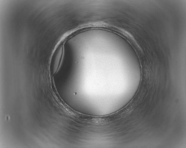 X0000064731176200603031634