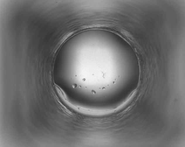 X0000064731177200603031634