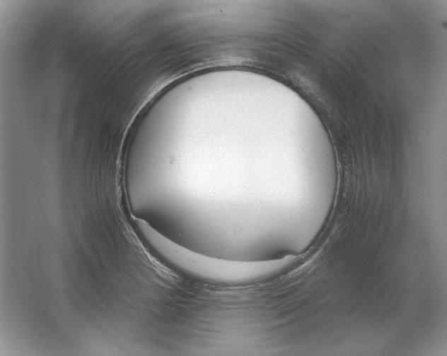 X0000064731178200603031634