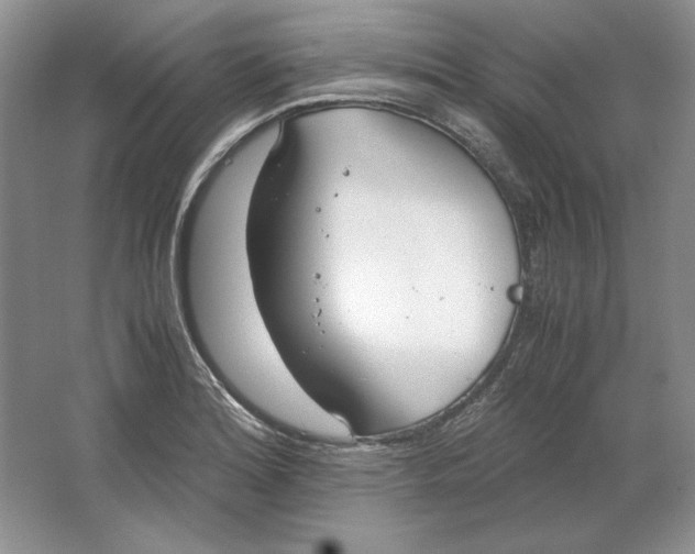 X0000064731180200603031634