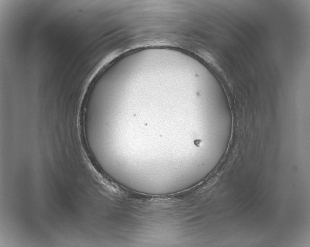 X0000064731181200603031634