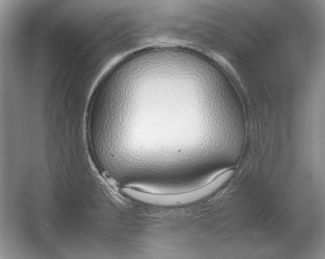 X0000064731183200603031634