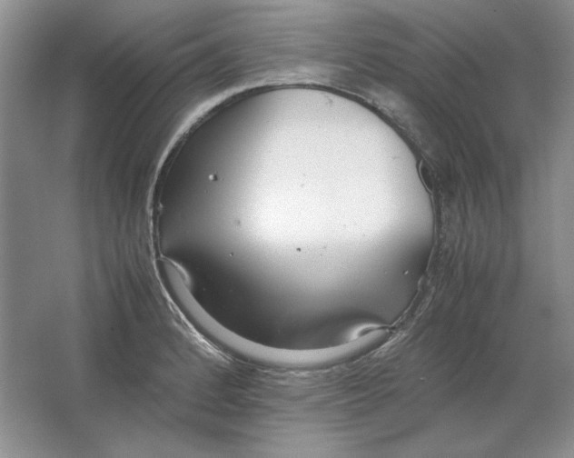 X0000064731184200603031634