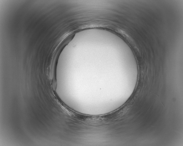 X0000064731185200603031634