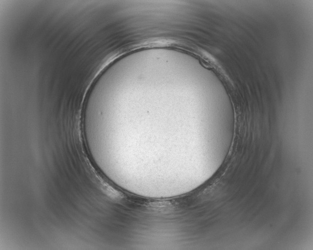 X0000064731186200603031634