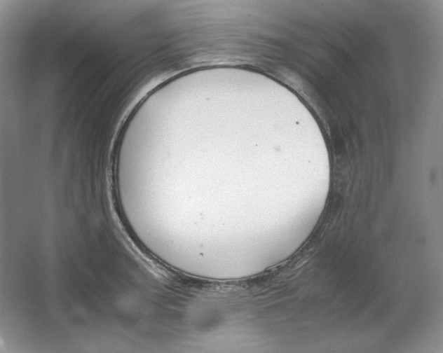 X0000064731187200603031634